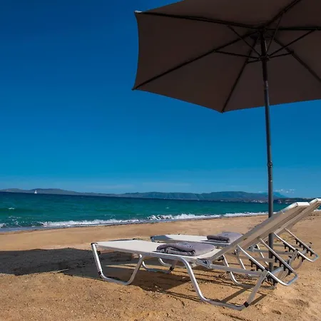 Terra D'oro * Jeriszósz